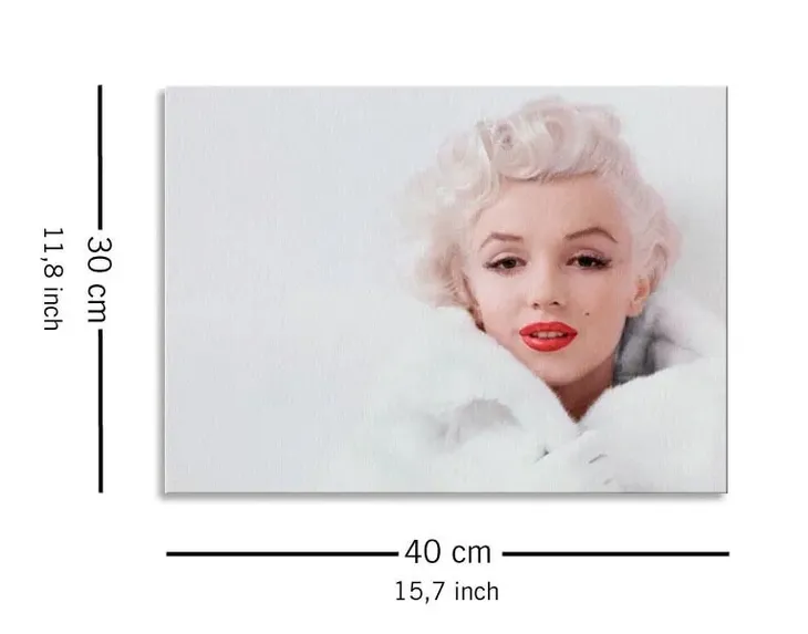 marilyn-monroe-white-obraz-na-plotnie-40x30-cm-stan-nowy