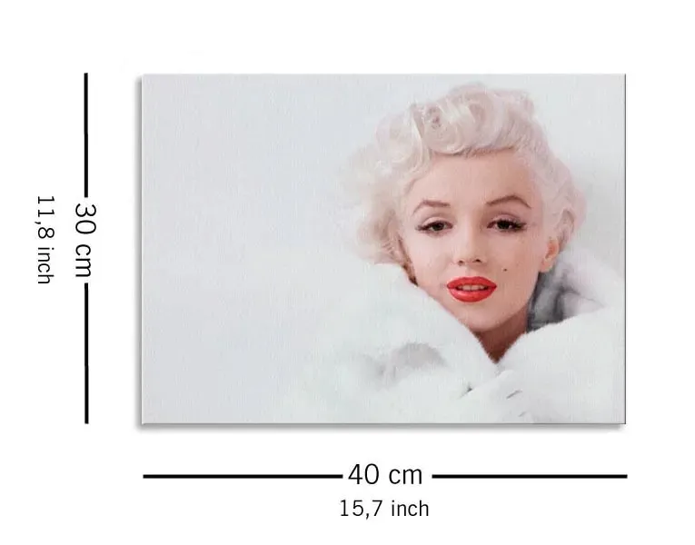 marilyn-monroe-white-obraz-na-plotnie-40x30-cm-stan-nowy