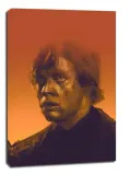 mark-hamill-obraz-na-plotnie-61x915-cm