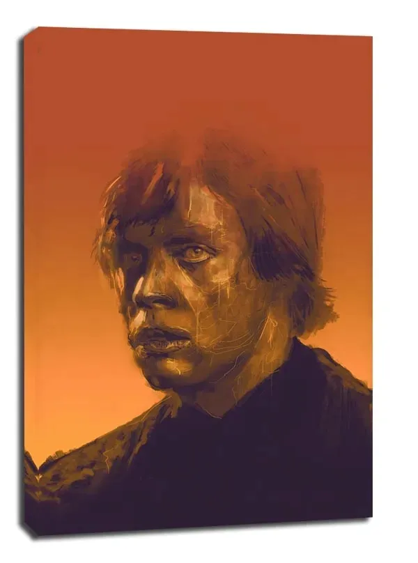 mark-hamill-obraz-na-plotnie-61x915-cm