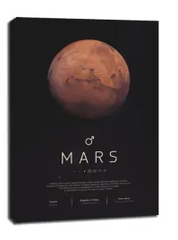 mars-obraz-na-plotnie-40x60-cm