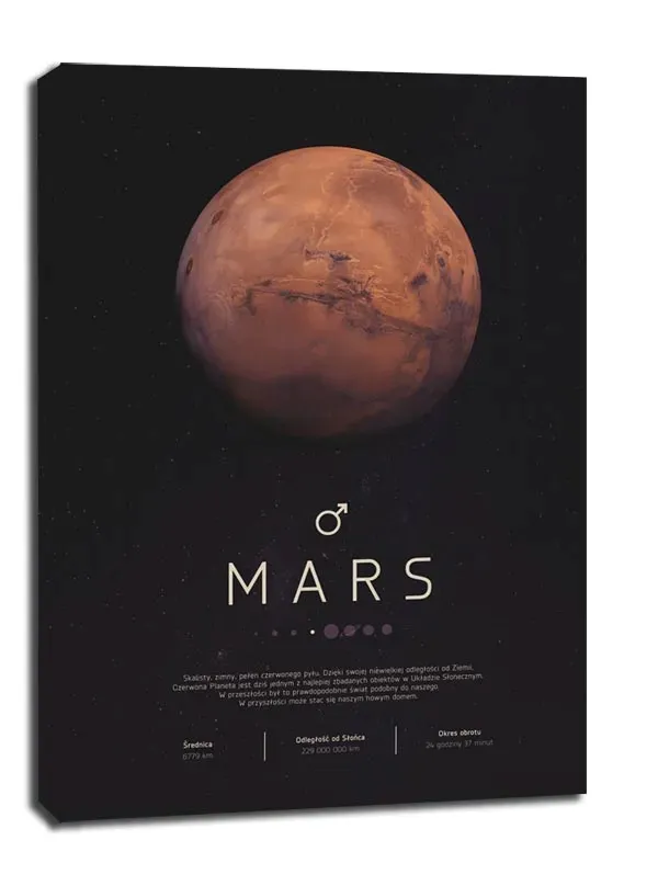 mars-obraz-na-plotnie-40x60-cm
