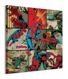 marvel-comics-spier-man-obraz-na-plotnie-85x85-cm
