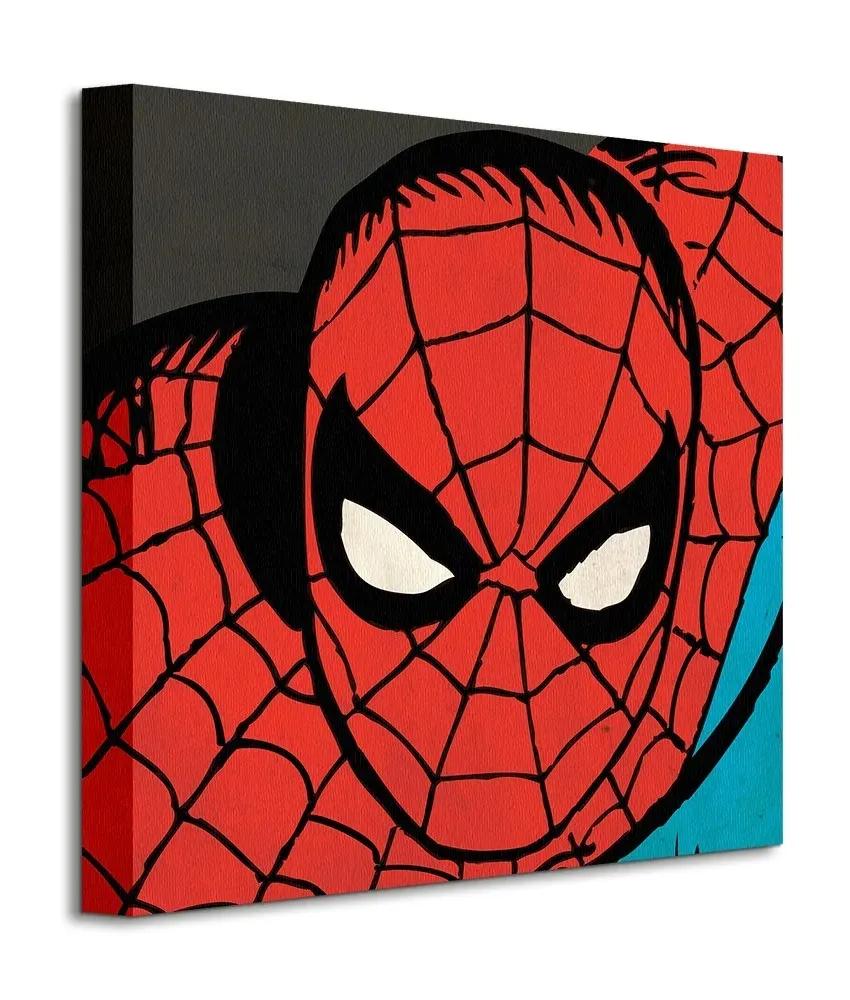 marvel-comics-spider-man-closeup-obraz-na-plotnie-40x40-cm