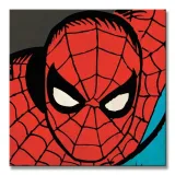 marvel-comics-spider-man-closeup-obraz-na-plotnie-40x40-cm-stan-nowy