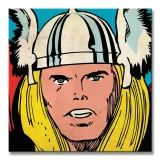 marvel-comics-thor-closeup-obraz-na-plotnie-40x40-cm-stan-nowy