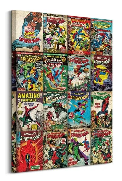 marvel-spider-man-covers-obraz-na-plotnie-60x80-cm