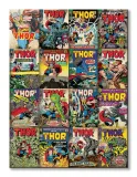 marvel-thor-covers-obraz-na-plotnie-60x80-cm-stan-nowy