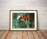 wasp-ver2-plakat-60x80-cm-stan-nowy