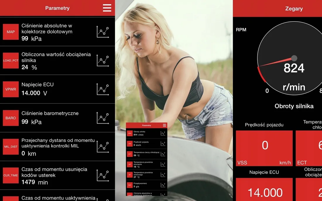 zestaw-diagnostyczny-ford-polski-interfejs-sdprog-pro-program-pl-sdprog