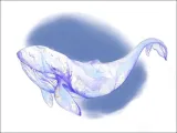 wieloryb-plakat-60x40-cm
