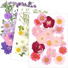 85x-naturalne-suszone-prasowane-kwiaty-mieszane-suszone-liscie-zywicy-diy