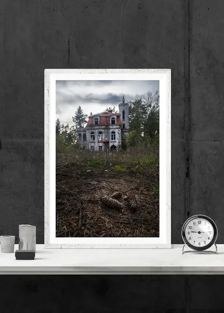 willa-plakat-20x30-cm-stan-nowy