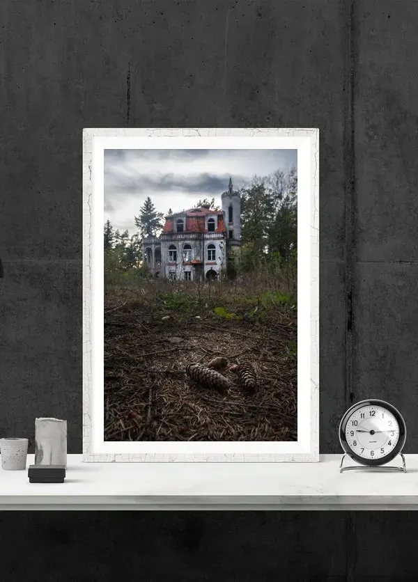 willa-plakat-40x50-cm