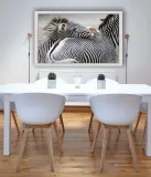 zebra-plakat-70x50-cm-stan-nowy