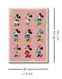 minnie-mouse-evolution-obraz-na-plotnie-30x40-cm-stan-nowy