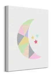 moon-obraz-na-plotnie-40x50-cm
