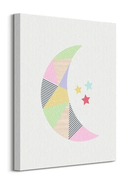 moon-obraz-na-plotnie-40x50-cm