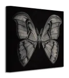 moth-obraz-na-plotnie-30x30-cm