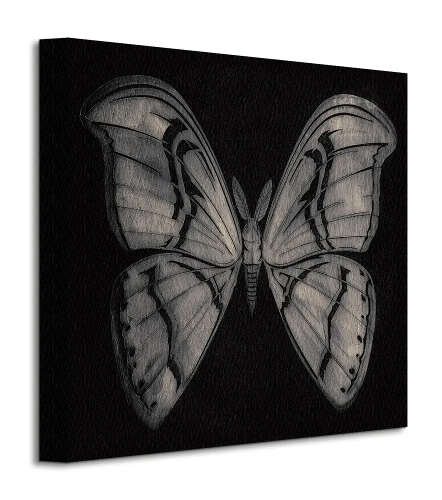 moth-obraz-na-plotnie-30x30-cm