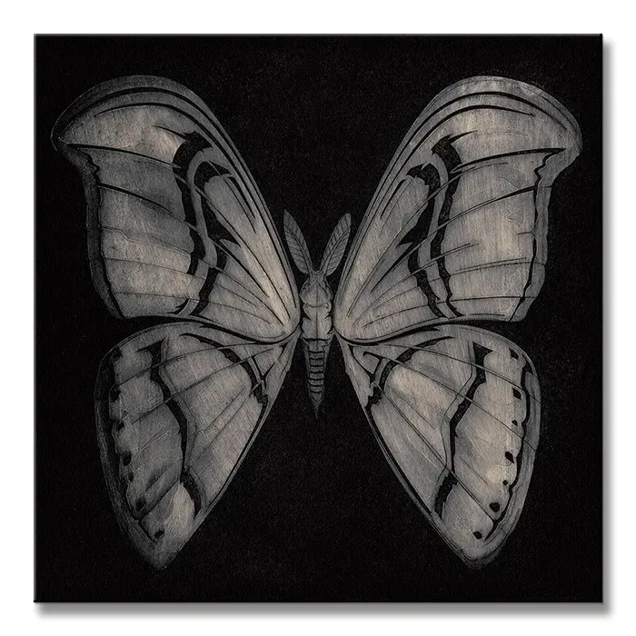 moth-obraz-na-plotnie-30x30-cm