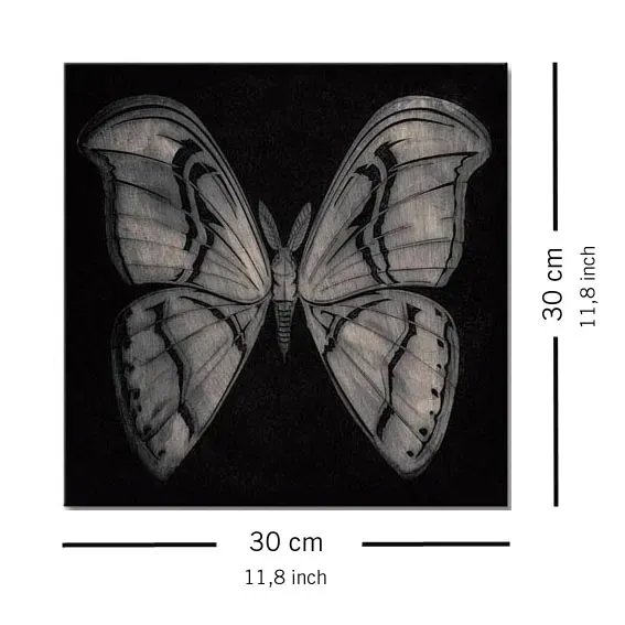 moth-obraz-na-plotnie-30x30-cm-stan-nowy