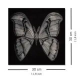 moth-obraz-na-plotnie-30x30-cm-stan-nowy