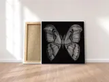 moth-obraz-na-plotnie-30x30-cm-stan-nowy