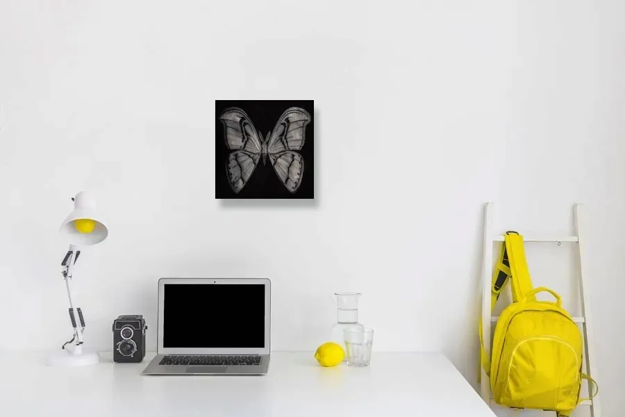 moth-obraz-na-plotnie-30x30-cm
