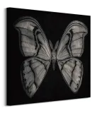 moth-obraz-na-plotnie-60x60-cm