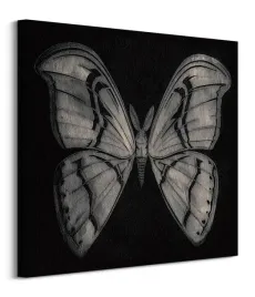 moth-obraz-na-plotnie-60x60-cm