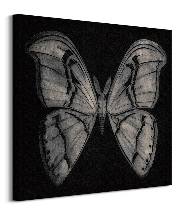 moth-obraz-na-plotnie-60x60-cm