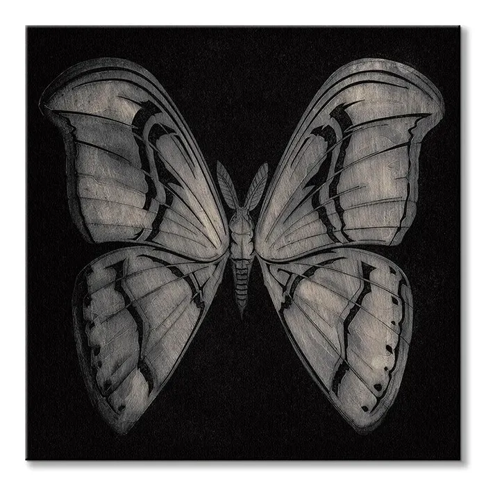 moth-obraz-na-plotnie-60x60-cm