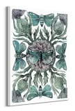 moths-thistles-obraz-na-plotnie-60x80-cm