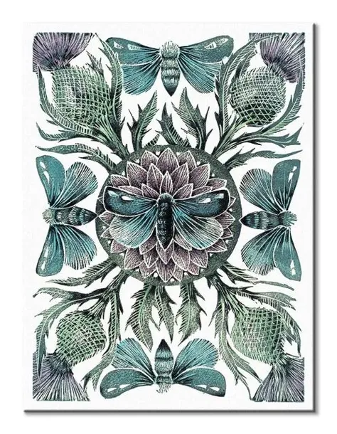 moths-thistles-obraz-na-plotnie-60x80-cm-stan-nowy