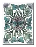 moths-thistles-obraz-na-plotnie-60x80-cm-stan-nowy