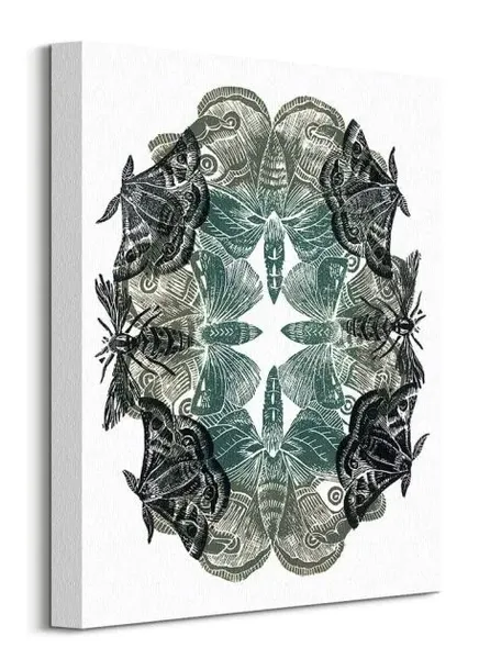moths-obraz-na-plotnie-30x40-cm