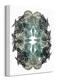 moths-obraz-na-plotnie-30x40-cm