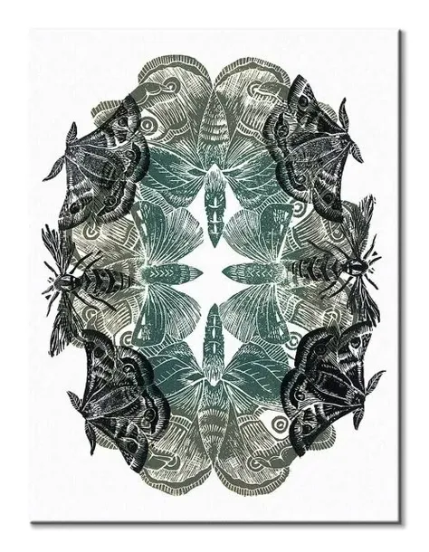 moths-obraz-na-plotnie-30x40-cm-stan-nowy