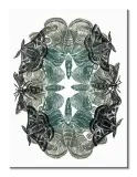 moths-obraz-na-plotnie-30x40-cm-stan-nowy