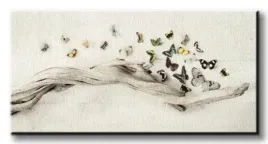 motyle-drift-of-butterflies-obraz-na-plotnie-100x50-cm