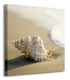 muszla-na-plazy-obraz-na-plotnie-40x40-cm