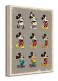 myszka-miki-mickey-mouse-evolution-obraz-na-plotnie-30x40-cm