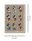 myszka-miki-mickey-mouse-evolution-obraz-na-plotnie-30x40-cm-stan-nowy