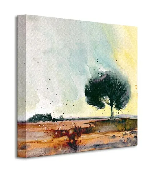 new-forest-study-obraz-na-plotnie-40x40-cm-stan-nowy