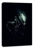 obcy-ksenomorf-obraz-na-plotnie-50x70-cm
