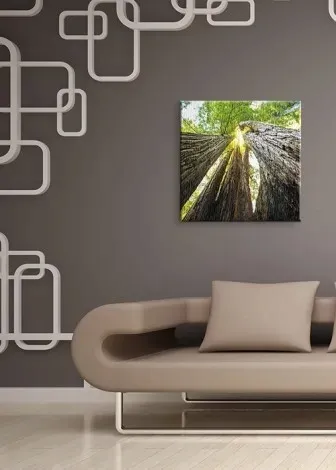 ogronme-sekwoje-obraz-na-plotnie-40x40-cm-stan-nowy
