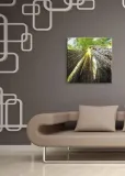 ogronme-sekwoje-obraz-na-plotnie-40x40-cm-stan-nowy