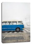 ogorek-we-mgle-obraz-na-plotnie-90x120-cm