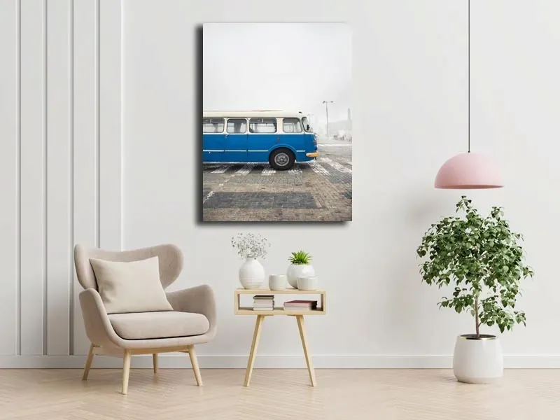 ogorek-we-mgle-obraz-na-plotnie-90x120-cm